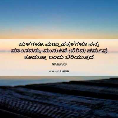 Picture 06 - ಯೋಬನು 7:5 KANIRV - ಹುಳಗಳೂ, - Bible Verse Picture