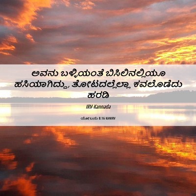 Picture 06 - ಯೋಬನು 8:16 KANIRV - ಅವನು ಬಳ್ಳಿಯಂತೆ - Bible Verse Picture