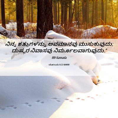 Picture 06 - ಯೋಬನು 8:22 KANIRV - ನಿನ್ನ ಶತ್ರುಗಳನ್ನು - Bible Verse Picture
