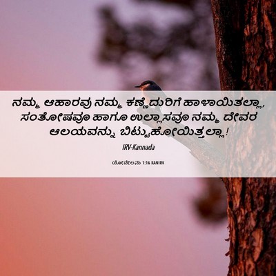 Picture 06 - ಯೋವೇಲನು 1:16 KANIRV - ನಮ್ಮ ಆಹಾರವು ನಮ್ಮ - Bible Verse Picture