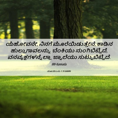Picture 06 - ಯೋವೇಲನು 1:19 KANIRV - ಯೆಹೋವನೇ, ನಿನಗೆ - Bible Verse Picture