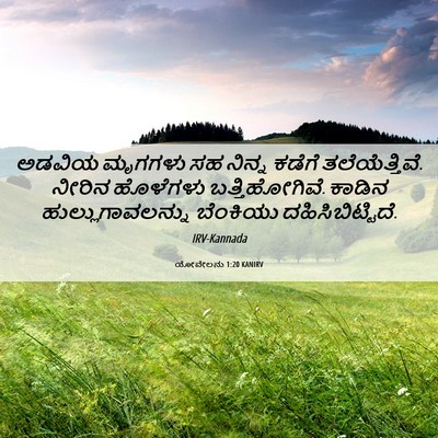 Picture 06 - ಯೋವೇಲನು 1:20 KANIRV - ಅಡವಿಯ ಮೃಗಗಳು ಸಹ - Bible Verse Picture