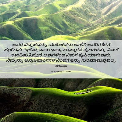 Picture 06 - ಯೋವೇಲನು 2:19 KANIRV - ಅವರ ಬಿನ್ನಹವನ್ನು - Bible Verse Picture