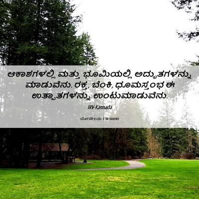 Picture 06 - ಯೋವೇಲನು 2:30 KANIRV - ಆಕಾಶಗಳಲ್ಲಿ ಮತ್ತು - Bible Verse Picture