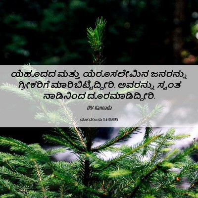 Picture 06 - ಯೋವೇಲನು 3:6 KANIRV - ಯೆಹೂದದ ಮತ್ತು - Bible Verse Picture