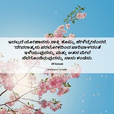 Picture 06 - ಯೋಹಾನನು 1:32 KANIRV - ಇದಲ್ಲದೆ ಯೋಹಾನನು - Bible Verse Picture