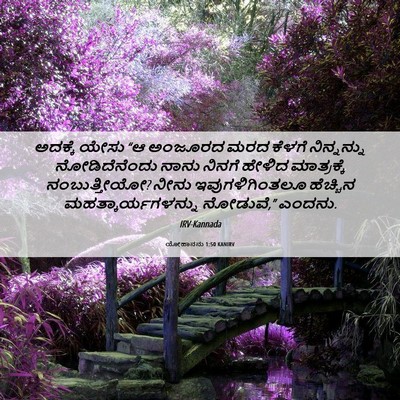 Picture 06 - ಯೋಹಾನನು 1:50 KANIRV - ಅದಕ್ಕೆ ಯೇಸು “ಆ - Bible Verse Picture