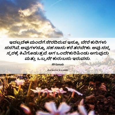 Picture 06 - ಯೋಹಾನನು 10:16 KANIRV - ಇದಲ್ಲದೆಈ ಮಂದೆಗೆ - Bible Verse Picture