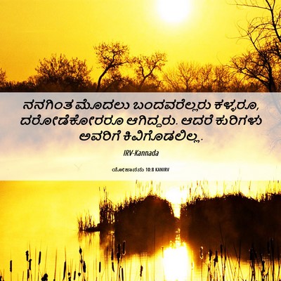 Picture 06 - ಯೋಹಾನನು 10:8 KANIRV - ನನಗಿಂತ ಮೊದಲು - Bible Verse Picture
