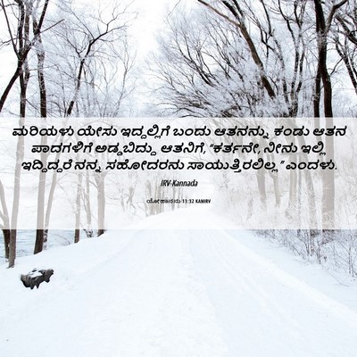 Picture 06 - ಯೋಹಾನನು 11:32 KANIRV - ಮರಿಯಳು ಯೇಸು - Bible Verse Picture