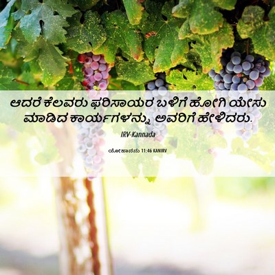 Picture 06 - ಯೋಹಾನನು 11:46 KANIRV - ಆದರೆ ಕೆಲವರು - Bible Verse Picture