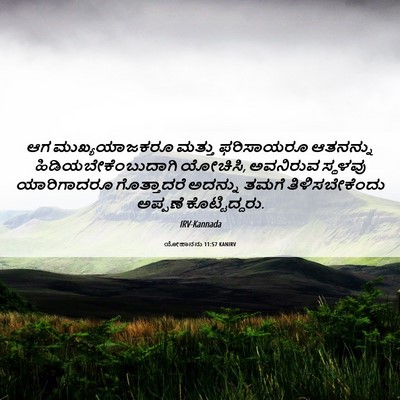 Picture 06 - ಯೋಹಾನನು 11:57 KANIRV - ಆಗ ಮುಖ್ಯಯಾಜಕರೂ - Bible Verse Picture
