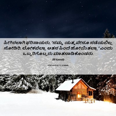 Picture 06 - ಯೋಹಾನನು 12:19 KANIRV - ಹೀಗಿರಲಾಗಿ - Bible Verse Picture