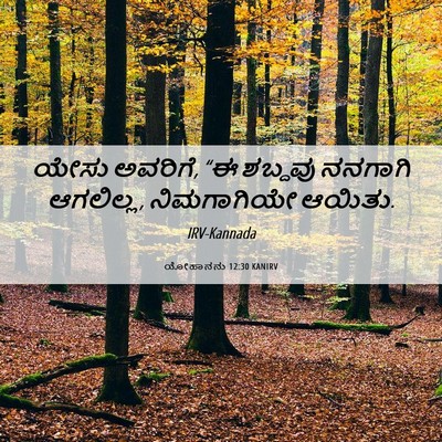 Picture 06 - ಯೋಹಾನನು 12:30 KANIRV - ಯೇಸು ಅವರಿಗೆ, “ಈ - Bible Verse Picture