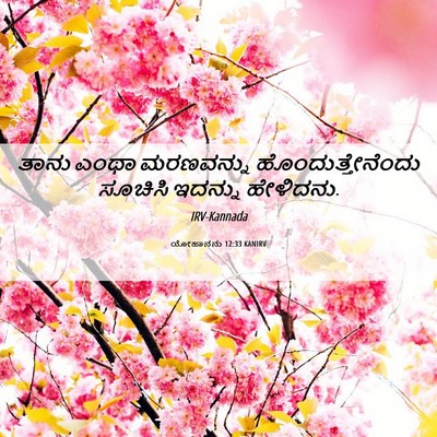 Picture 06 - ಯೋಹಾನನು 12:33 KANIRV - ತಾನು ಎಂಥಾ - Bible Verse Picture