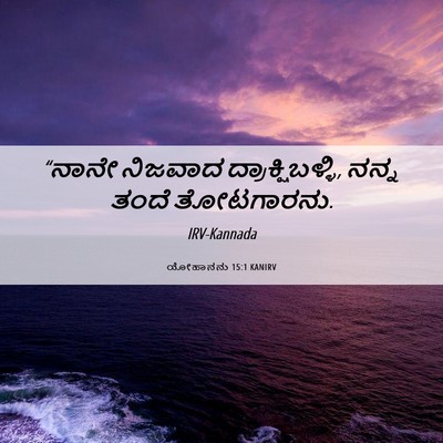 Picture 06 - ಯೋಹಾನನು 15:1 KANIRV - “ನಾನೇ ನಿಜವಾದ - Bible Verse Picture