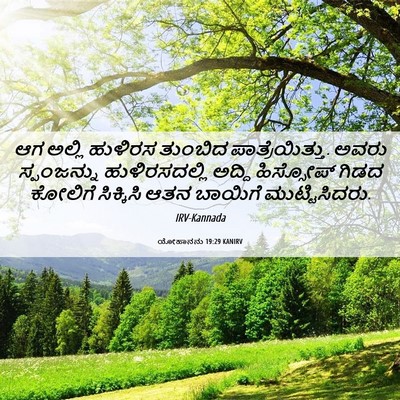 Picture 06 - ಯೋಹಾನನು 19:29 KANIRV - ಆಗ ಅಲ್ಲಿ ಹುಳಿರಸ - Bible Verse Picture