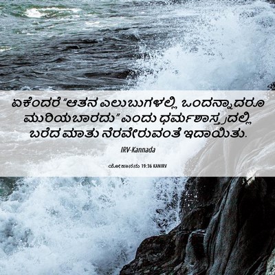 Picture 06 - ಯೋಹಾನನು 19:36 KANIRV - ಏಕೆಂದರೆ “ಆತನ - Bible Verse Picture
