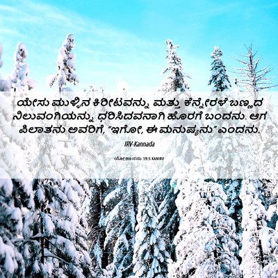 Picture 06 - ಯೋಹಾನನು 19:5 KANIRV - ಯೇಸು ಮುಳ್ಳಿನ - Bible Verse Picture