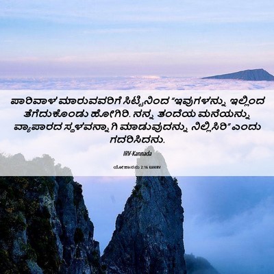 Picture 06 - ಯೋಹಾನನು 2:16 KANIRV - ಪಾರಿವಾಳ - Bible Verse Picture