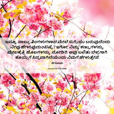 Picture 06 - ಯೋಹಾನನು 4:35 KANIRV - ‘ಇನ್ನೂ ನಾಲ್ಕು - Bible Verse Picture