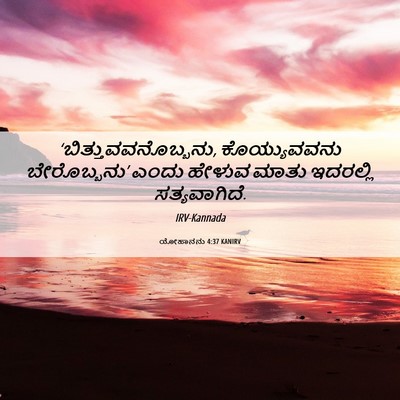 Picture 06 - ಯೋಹಾನನು 4:37 KANIRV - ‘ಬಿತ್ತುವವನೊಬ್ಬನು, - Bible Verse Picture
