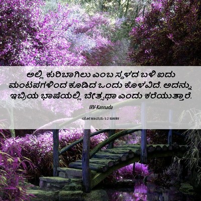 Picture 06 - ಯೋಹಾನನು 5:2 KANIRV - ಅಲ್ಲಿ ಕುರಿಬಾಗಿಲು - Bible Verse Picture