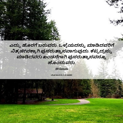 Picture 06 - ಯೋಹಾನನು 5:29 KANIRV - ಎದ್ದು ಹೊರಗೆ - Bible Verse Picture