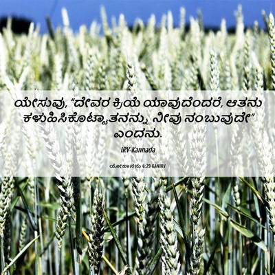 Picture 06 - ಯೋಹಾನನು 6:29 KANIRV - ಯೇಸುವು, “ದೇವರ - Bible Verse Picture