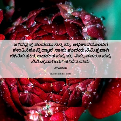 Picture 06 - ಯೋಹಾನನು 6:57 KANIRV - ಜೀವವುಳ್ಳ ತಂದೆಯು - Bible Verse Picture