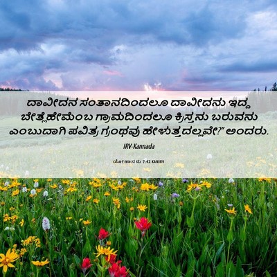 Picture 06 - ಯೋಹಾನನು 7:42 KANIRV - ದಾವೀದನ - Bible Verse Picture