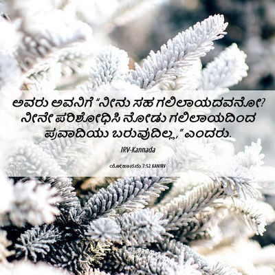 Picture 06 - ಯೋಹಾನನು 7:52 KANIRV - ಅವರು ಅವನಿಗೆ “ನೀನು - Bible Verse Picture