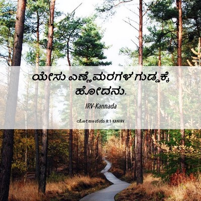 Picture 06 - ಯೋಹಾನನು 8:1 KANIRV - ಯೇಸು ಎಣ್ಣೆಮರಗಳ - Bible Verse Picture