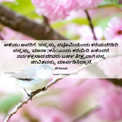 Picture 06 - ರೂತಳು 1:20 KANIRV - ಆಕೆಯು ಅವರಿಗೆ, - Bible Verse Picture