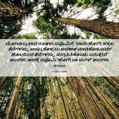 Picture 06 - ರೂತಳು 2:2 KANIRV - ಮೋವಾಬ್ಯಳಾದ ರೂತಳು - Bible Verse Picture