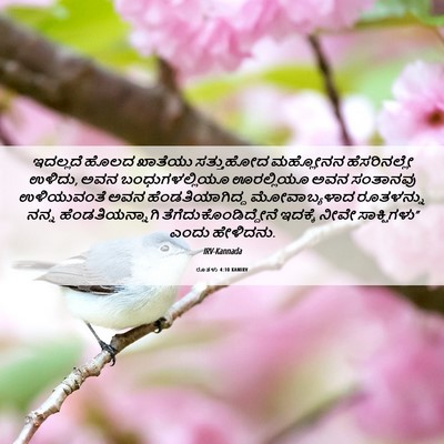 Picture 06 - ರೂತಳು 4:10 KANIRV - ಇದಲ್ಲದೆ ಹೊಲದ - Bible Verse Picture