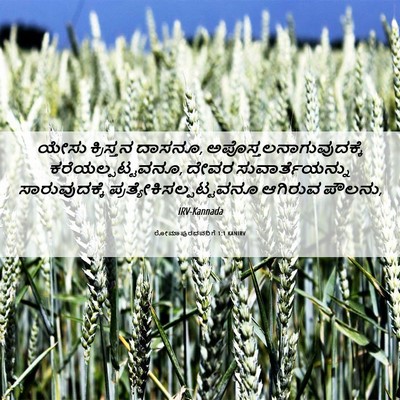 Picture 06 - ರೋಮಾಪುರದವರಿಗೆ 1:1 KANIRV - ಯೇಸು ಕ್ರಿಸ್ತನ - Bible Verse Picture