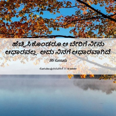 Picture 06 - ರೋಮಾಪುರದವರಿಗೆ 11:18 KANIRV - ಹೆಚ್ಚಿಸಿಕೊಂಡರೂ ಆ - Bible Verse Picture