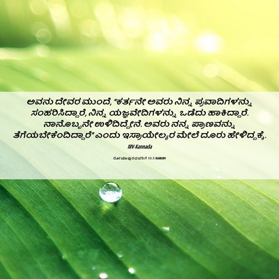 Picture 06 - ರೋಮಾಪುರದವರಿಗೆ 11:3 KANIRV - ಅವನು ದೇವರ ಮುಂದೆ, - Bible Verse Picture