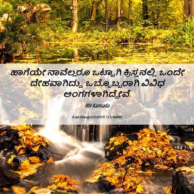 Picture 06 - ರೋಮಾಪುರದವರಿಗೆ 12:5 KANIRV - ಹಾಗೆಯೇ ನಾವೆಲ್ಲರೂ - Bible Verse Picture