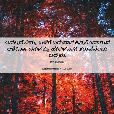 Picture 06 - ರೋಮಾಪುರದವರಿಗೆ 15:29 KANIRV - ಇದಲ್ಲದೆ ನಿಮ್ಮ - Bible Verse Picture