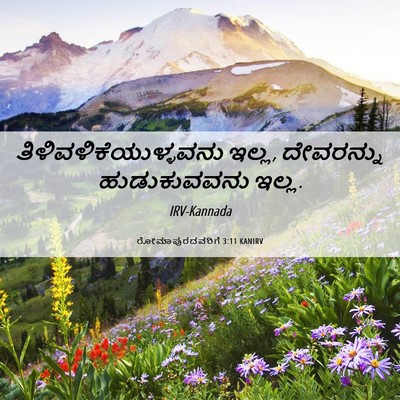 Picture 06 - ರೋಮಾಪುರದವರಿಗೆ 3:11 KANIRV -  - Bible Verse Picture