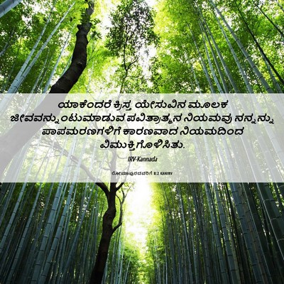 Picture 06 - ರೋಮಾಪುರದವರಿಗೆ 8:2 KANIRV - ಯಾಕೆಂದರೆ ಕ್ರಿಸ್ತ - Bible Verse Picture