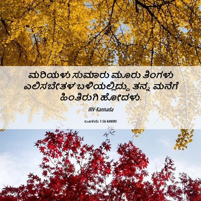 Picture 06 - ಲೂಕನು 1:56 KANIRV - ಮರಿಯಳು ಸುಮಾರು - Bible Verse Picture