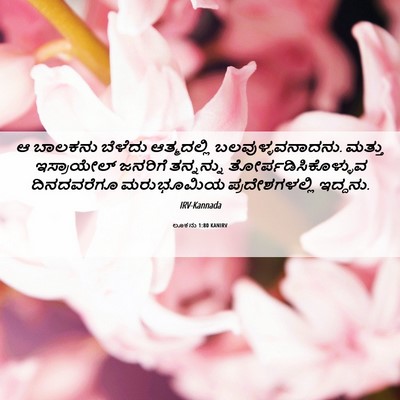 Picture 06 - ಲೂಕನು 1:80 KANIRV - ಆ ಬಾಲಕನು ಬೆಳೆದು - Bible Verse Picture