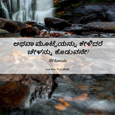 Picture 06 - ಲೂಕನು 11:12 KANIRV - ಅಥವಾ ಮೊಟ್ಟೆಯನ್ನು - Bible Verse Picture