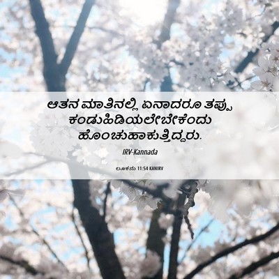 Picture 06 - ಲೂಕನು 11:54 KANIRV - ಆತನ ಮಾತಿನಲ್ಲಿ - Bible Verse Picture