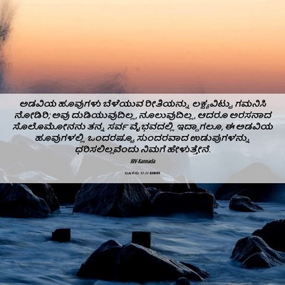 Picture 06 - ಲೂಕನು 12:27 KANIRV - ಅಡವಿಯ ಹೂವುಗಳು - Bible Verse Picture