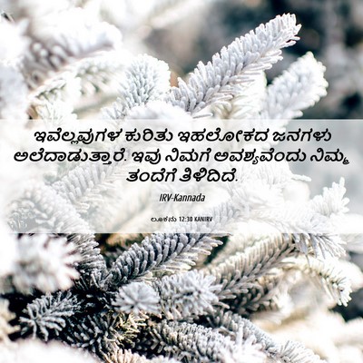 Picture 06 - ಲೂಕನು 12:30 KANIRV - ಇವೆಲ್ಲವುಗಳ ಕುರಿತು - Bible Verse Picture