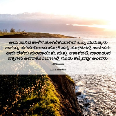 Picture 06 - ಲೂಕನು 13:19 KANIRV - ಅದು ಸಾಸಿವೆ ಕಾಳಿಗೆ - Bible Verse Picture